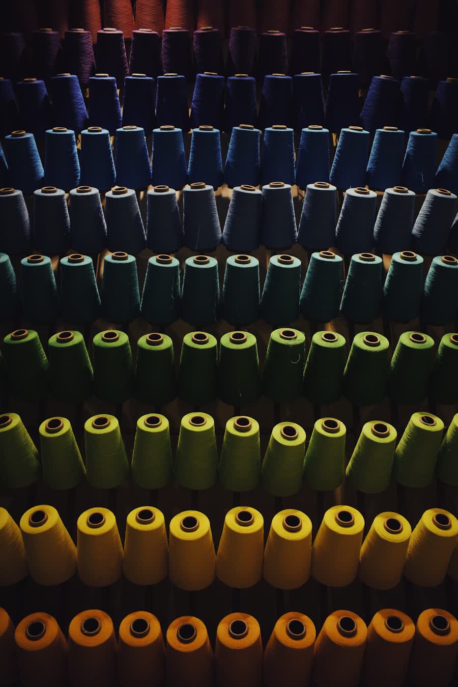 Rows of coloured yarn spools